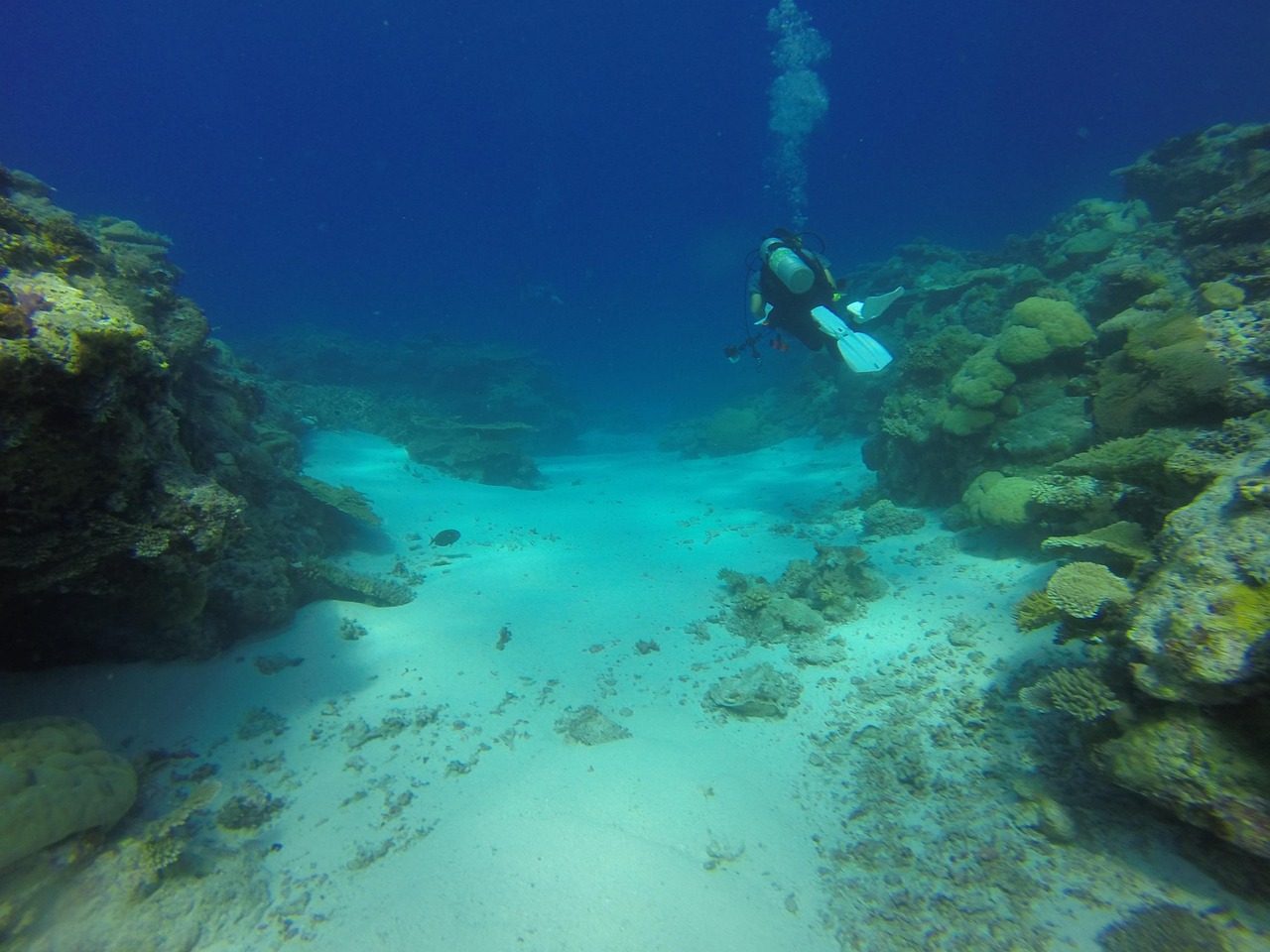 SCUBA DIVING PULA