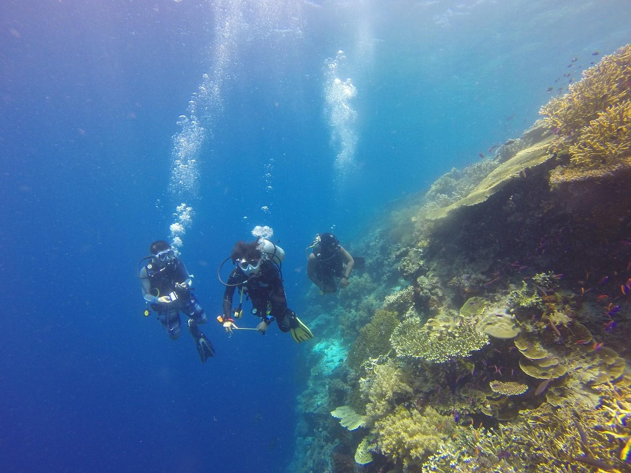 SCUBA DIVING PULA