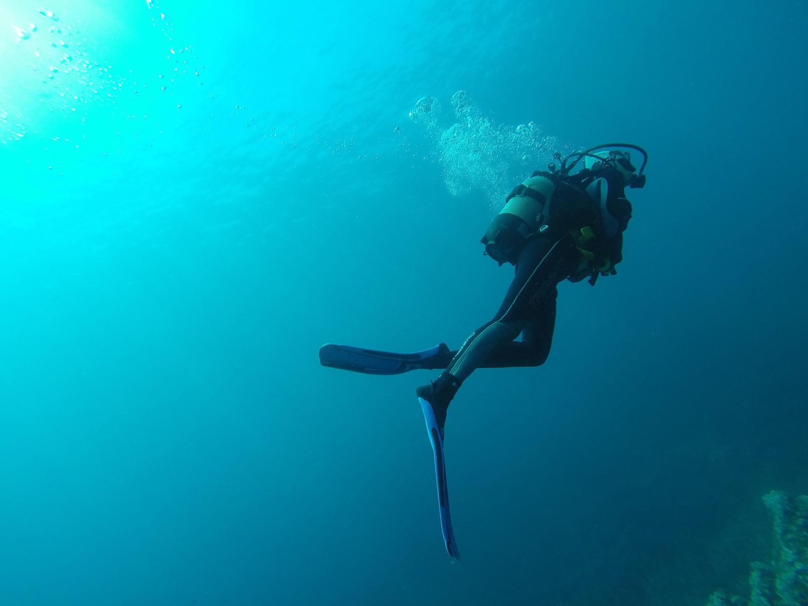 SCUBA DIVING PULA